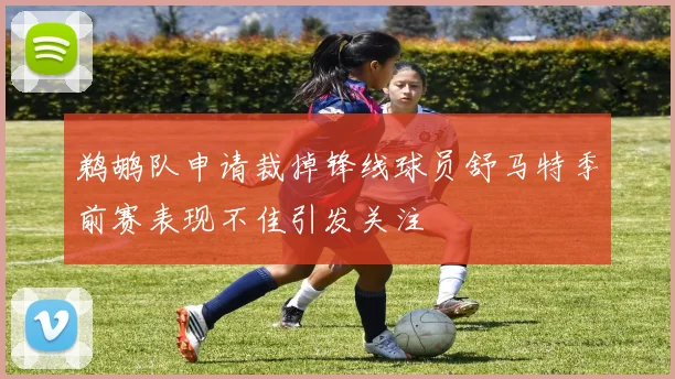 鹈鹕队申请裁掉锋线球员舒马特季前赛表现不佳引发关注