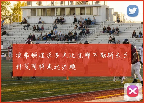 埃弗顿追求多夫比克那不勒斯米兰科莫同样表达兴趣