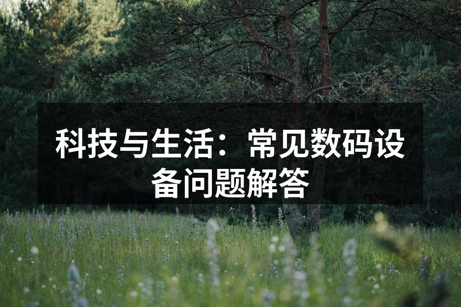 数码设备的多样性